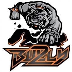 RC4WD Super Bully 2 Competition Axle -Cars Truck shop online bully 2 logo 1